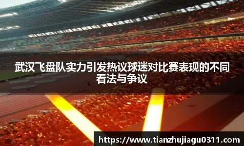 武汉飞盘队实力引发热议球迷对比赛表现的不同看法与争议