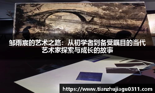 邹雨宸的艺术之路：从初学者到备受瞩目的当代艺术家探索与成长的故事